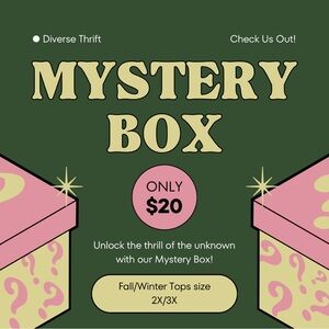 Mystery Box - Fall/Winter Tops 2X/3X